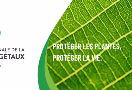 Année internationale de la santé des plantes