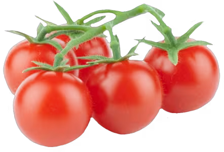 tomates