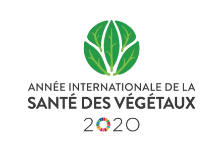 Plant Health TV