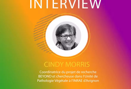 Interview