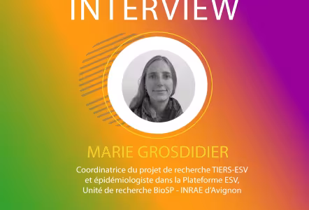 interview_tiers-esv