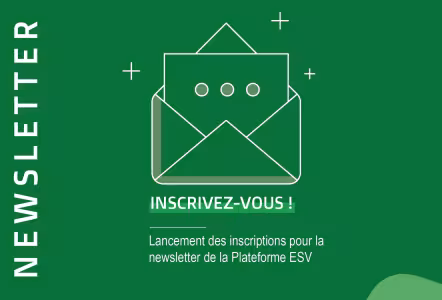visuel_newsletter