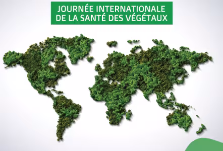 image_journée_internationale
