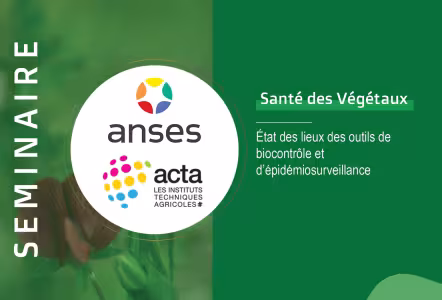 visuel_séminaire
