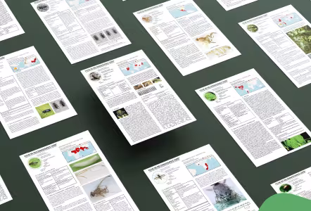 image fiches de reconnaissance