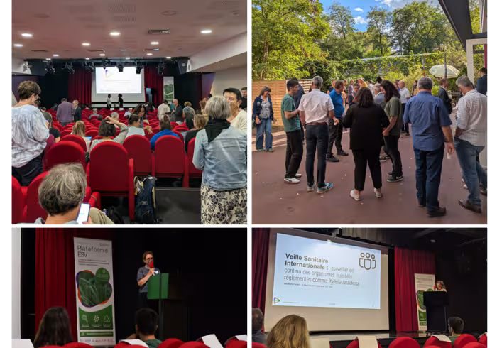 image esv evenement