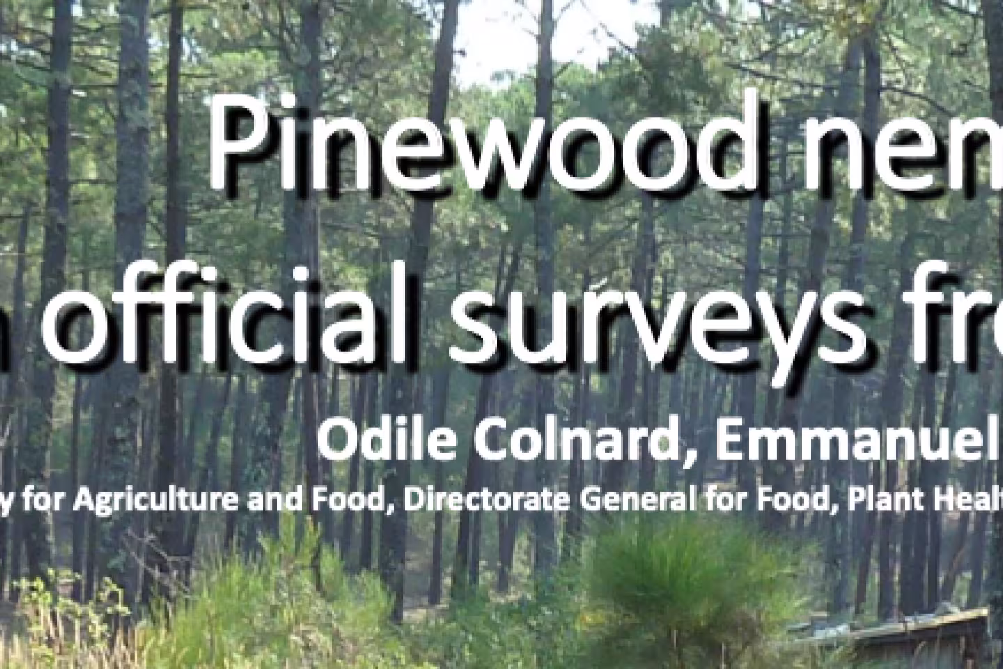 titre poster PWN DGAL Symposium 2020