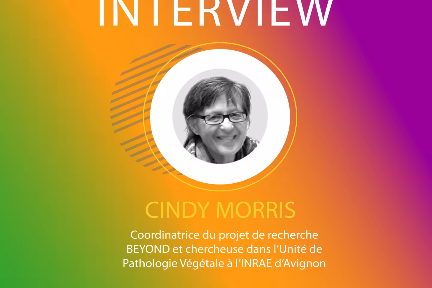 Interview