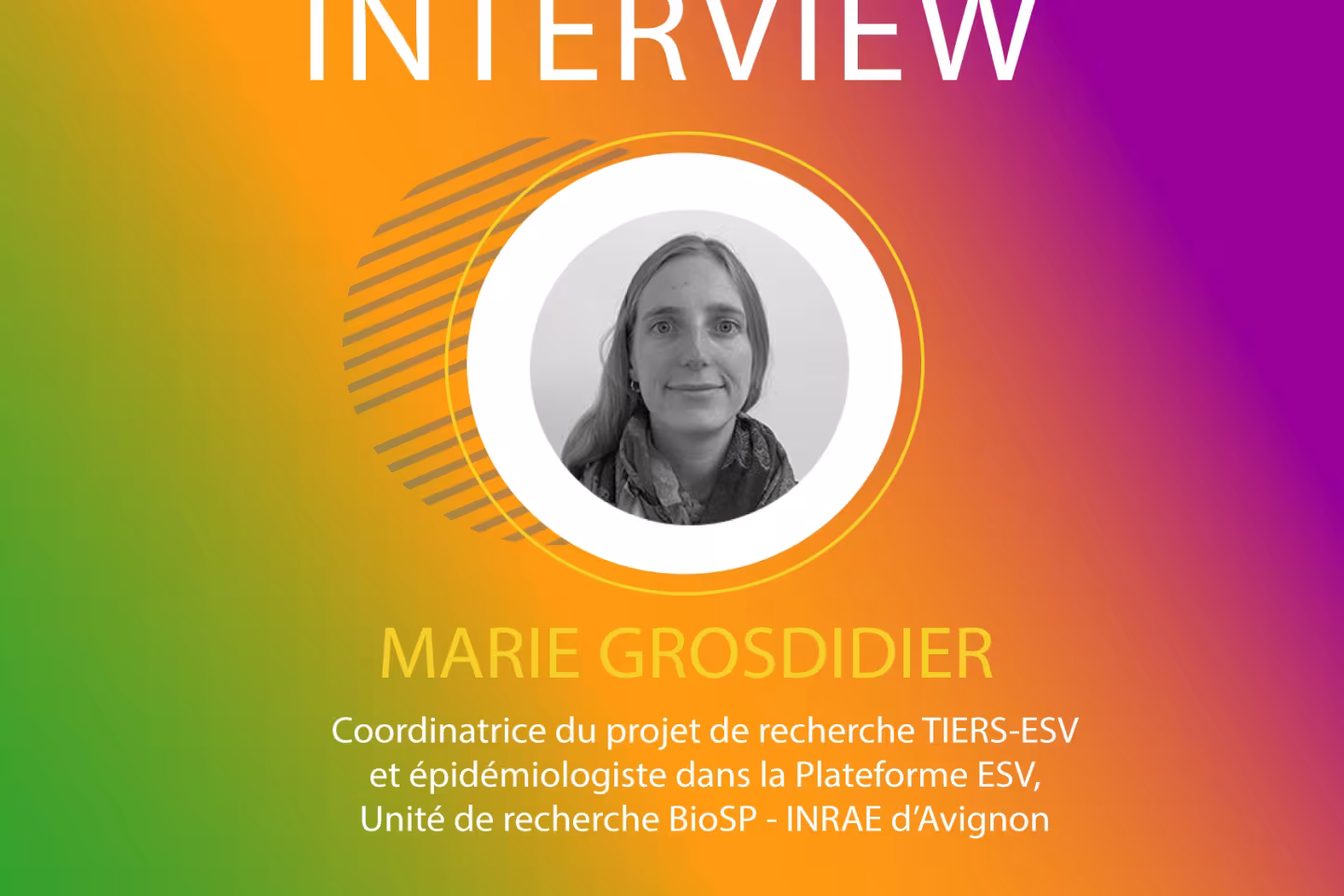 interview_tiers-esv