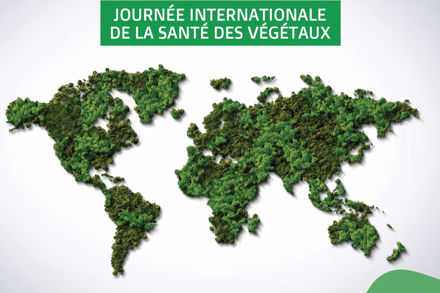 image_journée_internationale