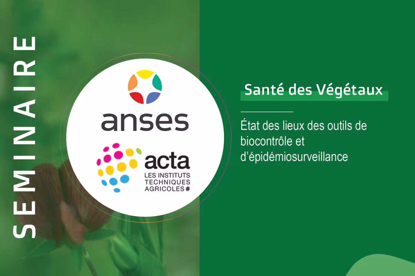 visuel_séminaire