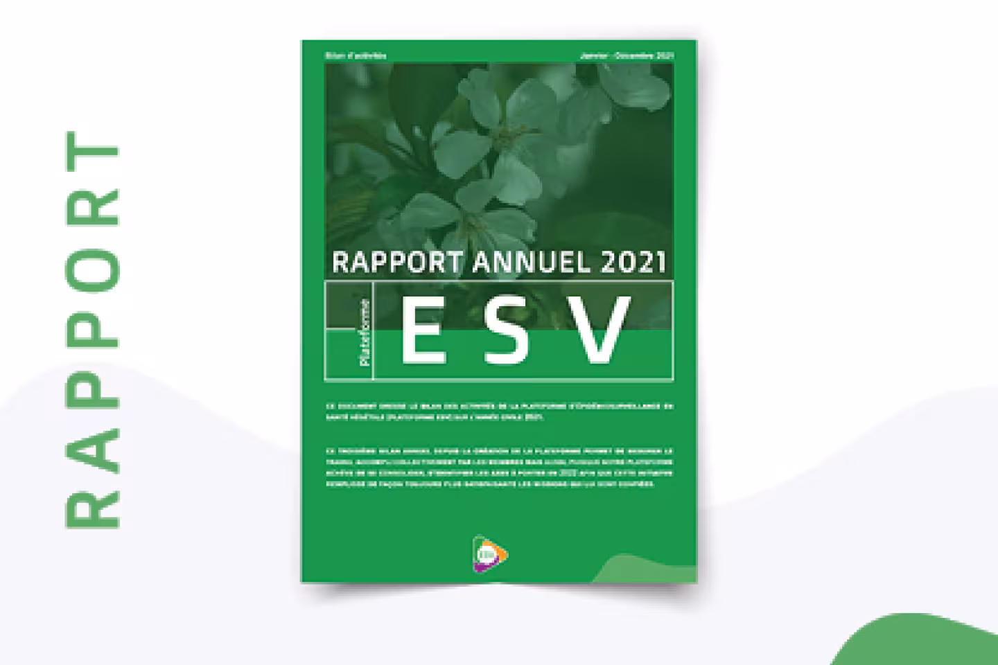 image_rapport_annuel