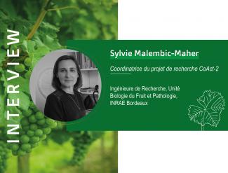 Sylvie Malembic-Maher