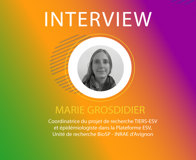 interview_tiers-esv