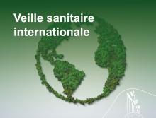 Veille sanitaire internationale