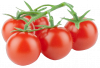 tomates