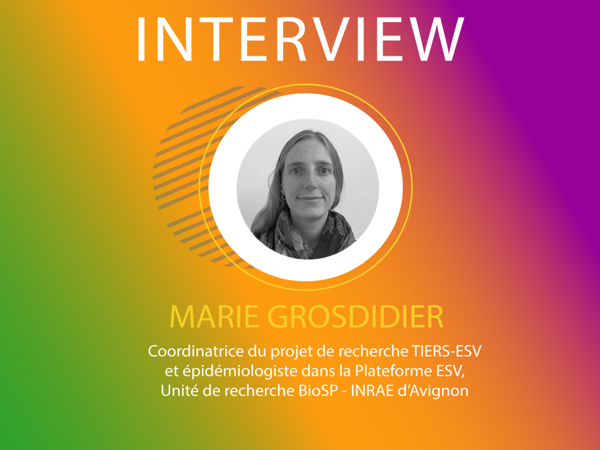 interview_tiers-esv